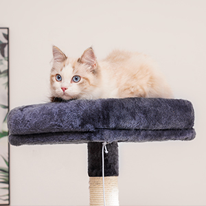 cat tree