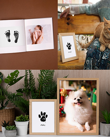 Dog Paw Print Kit