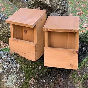 bird boxes