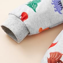 New child Boy Woman Outfits Child Lengthy Sleeve Dinosaur Romper Outsized Sweatshirt Toddler Fall Garments 0-18M 21 2