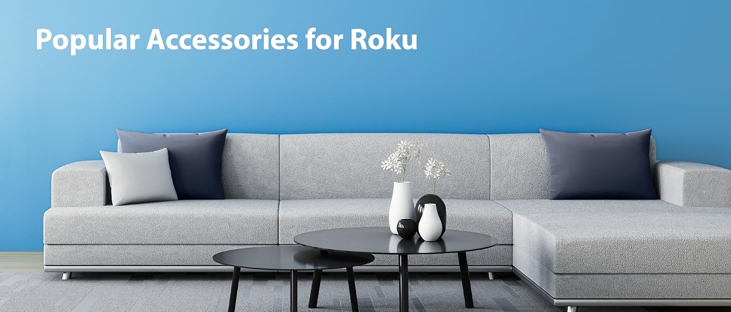Popular Accessories for Roku