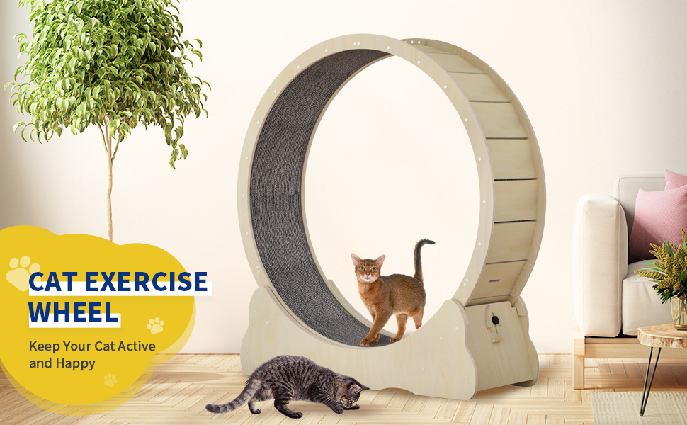 Cat Wheel, Cat Exercise Wheel with 2 AntiScratch Pads, Solid Wood Cat Wheel