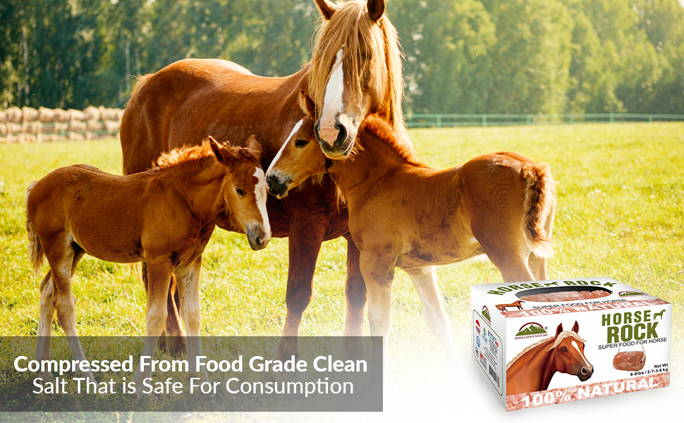 Himalayan Nature Horse Rock Salt, Animal Lick Salt 8lbs