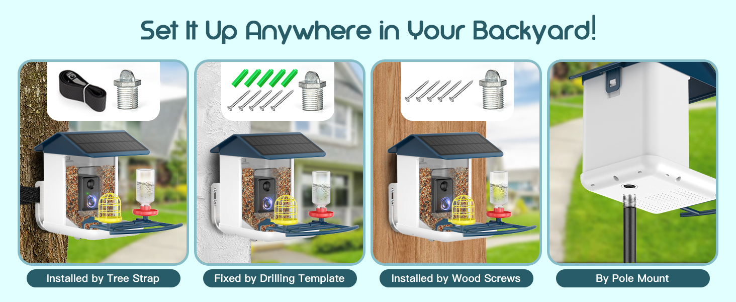 bird feeder with camera