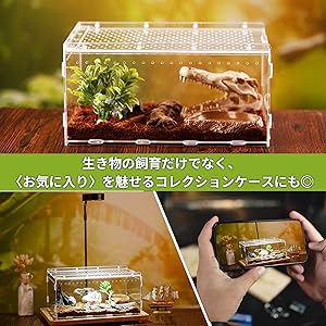 【新品未使用】爬虫類ケージ×5 アクリル　マグネット　レプタイルボックス同仕様 Amazon | レプタイルボックス 爬虫類 飼育ケース 虫かご 大 透明