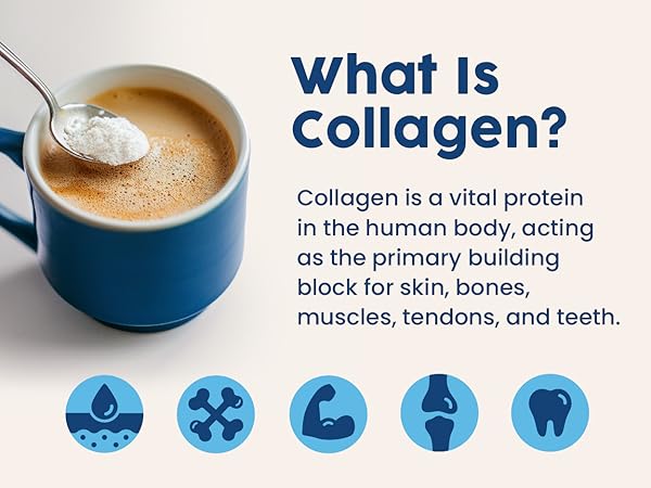 Skin elasticity enhancement,Type 1 and 3,Arthritis Pain Relief,Vital wellness support,