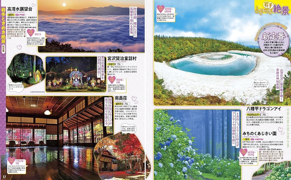 るるぶ岩手 盛岡 平泉 花巻 八幡平'25 (るるぶ情報版) | JTB