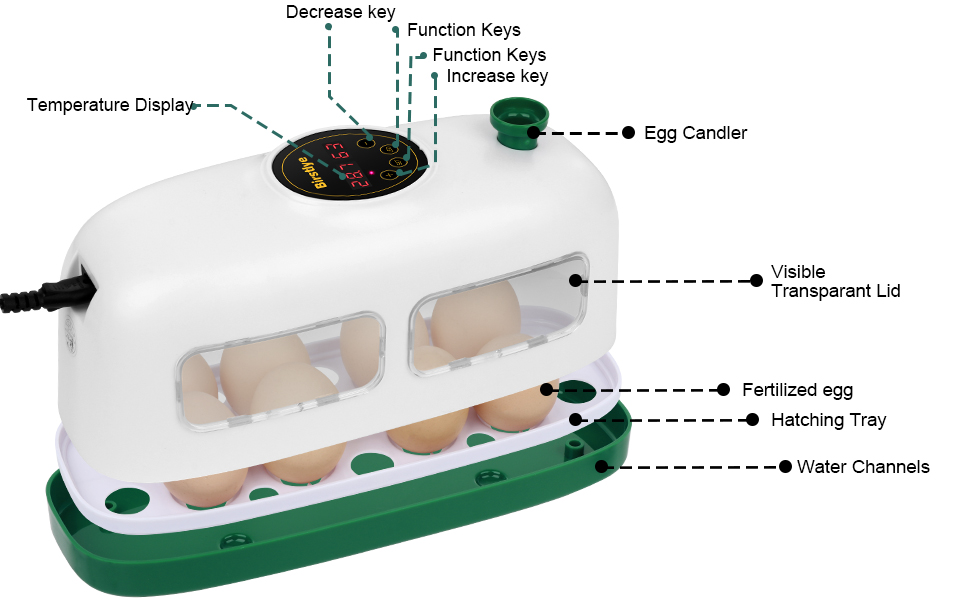 Egg Incubator for Hatching Chicks, 8 Eggs Poultry Hatcher