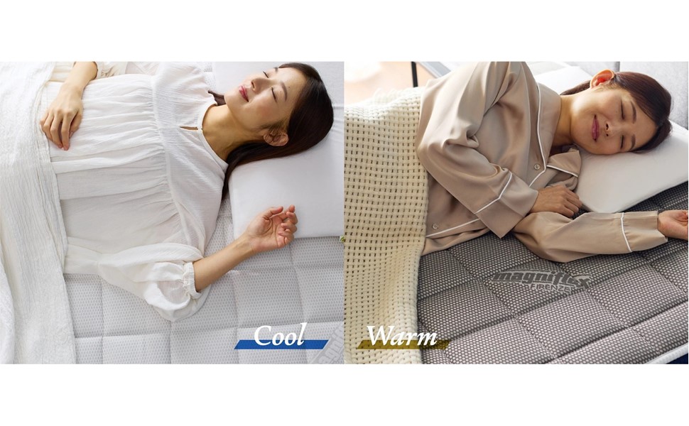 すみにゃんさん専用（決定済み）【美品】マニフレックス magniflex フラッグ・FX - マニフレックス公式オンラインストア