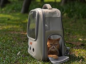 cat carrier backpack