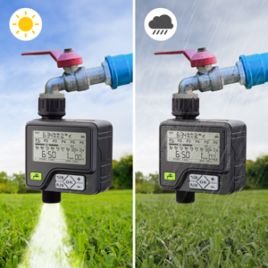 Automatic Water Timer