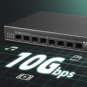 10G ethernet Switch