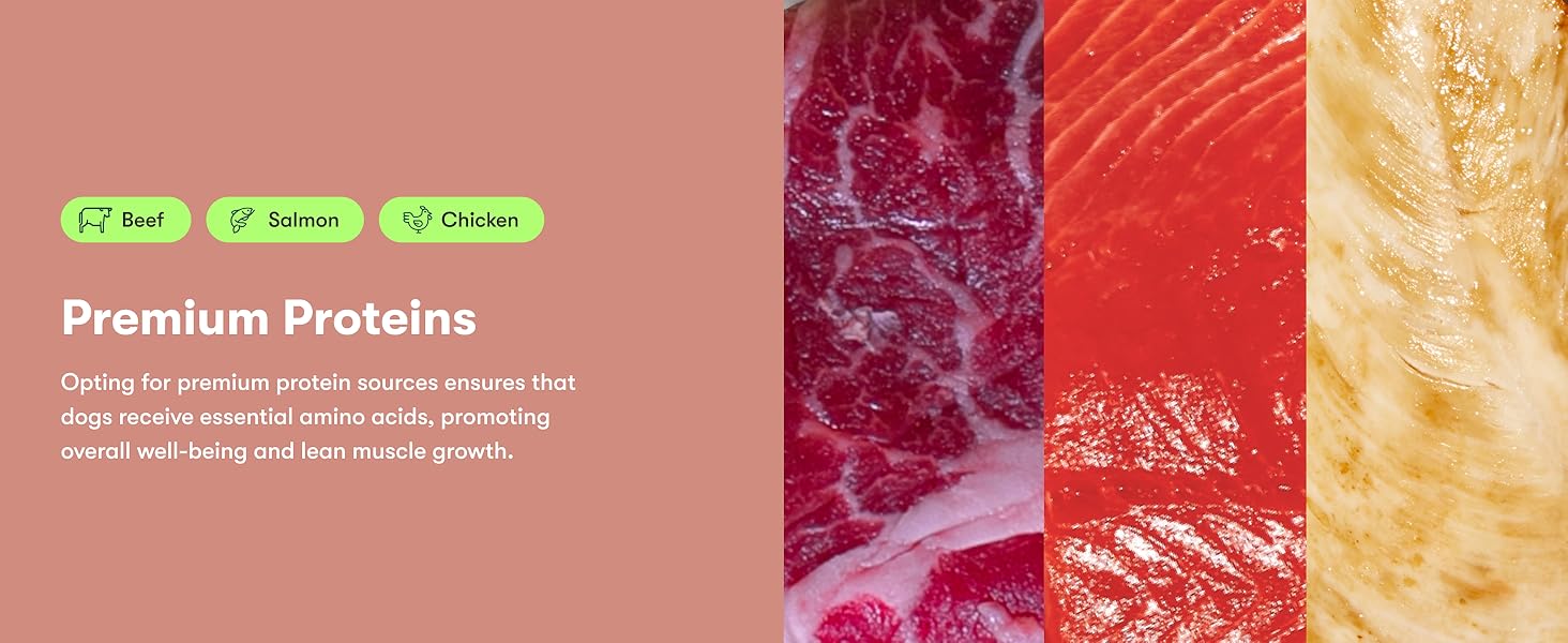 image showing the quality proteins used in jinx dog food with text explaining