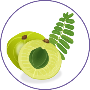Amla Extract