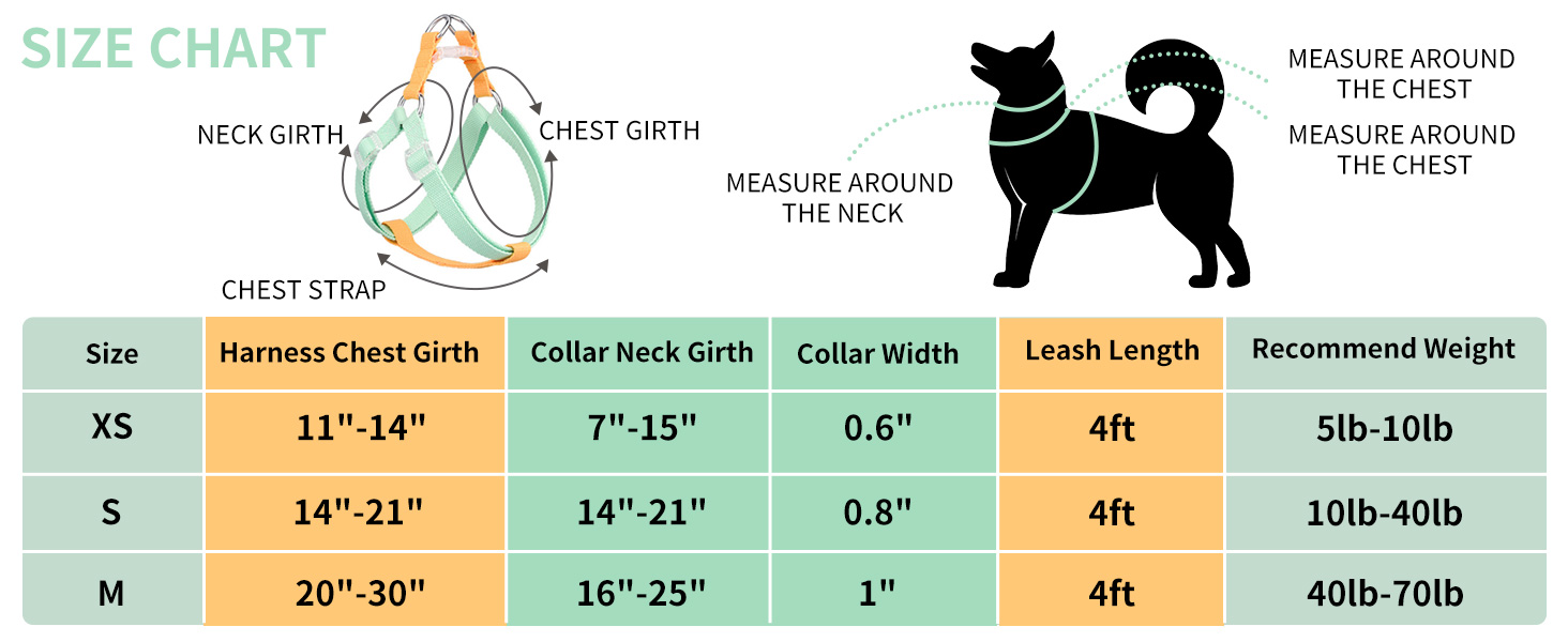 AIITLE Step in Dog Harness & Leash & Collar