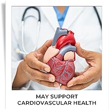 hummingherbs nattokinase supplement coq10 circulation support blood flow heart health 90 capsules 