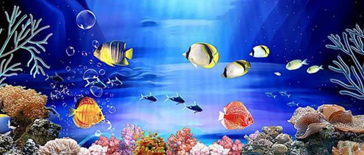 Product detail drawing