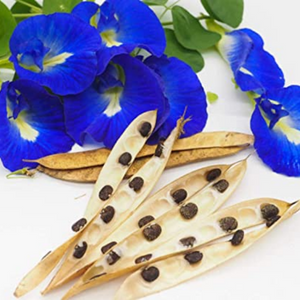 Small manufacture image 6