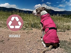dog cooling vest UV protection for summer