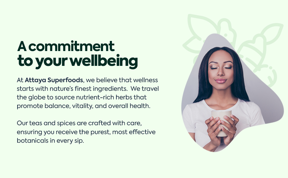 hot ginger tea; loose ginger tea; green ginger tea; moringa tree tea; ginger brew; moringa drink