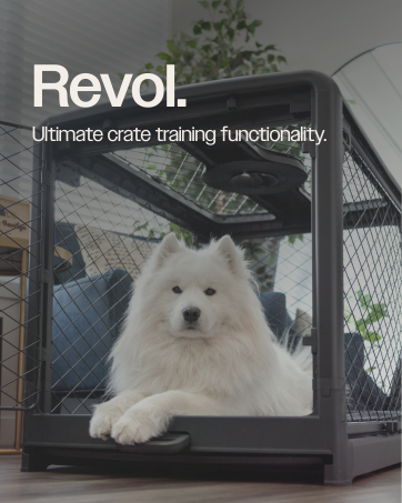 pet crate dog crate dog accessories dog chew dog crate bowl
