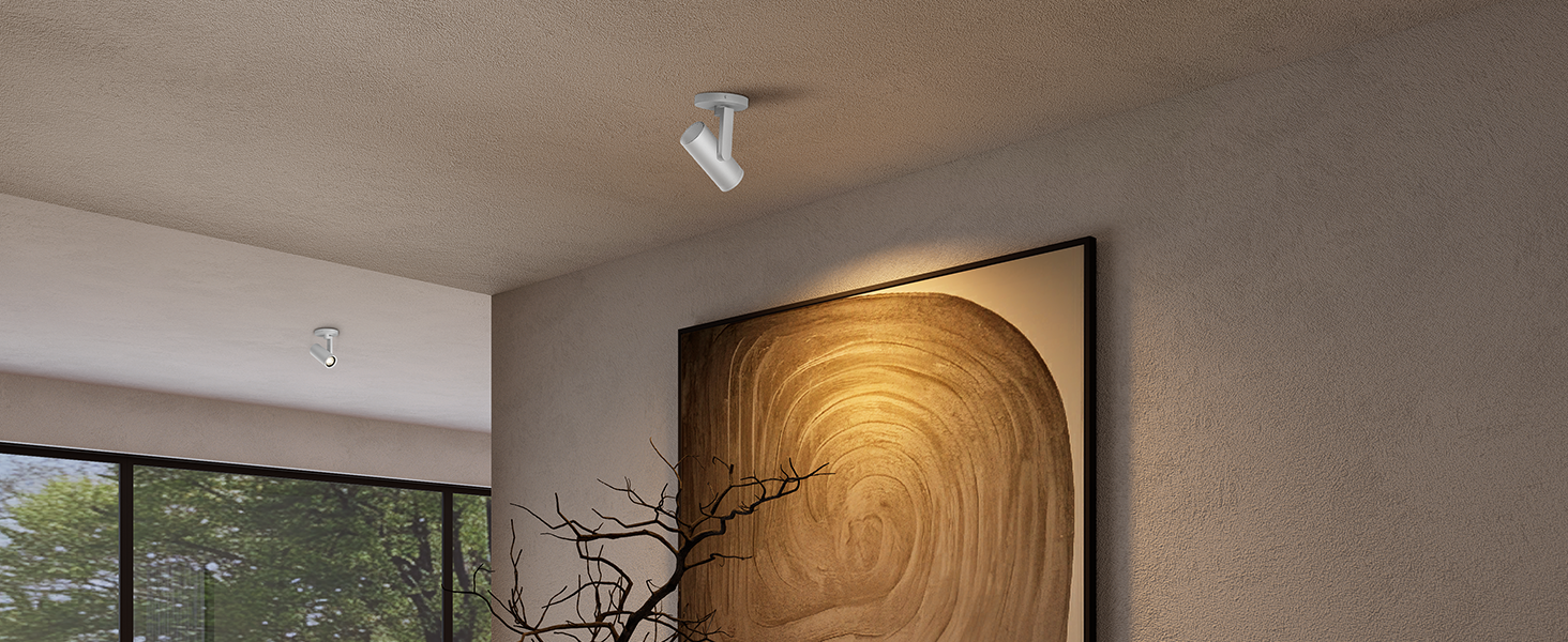 Zoomable Ceiling Spotlight