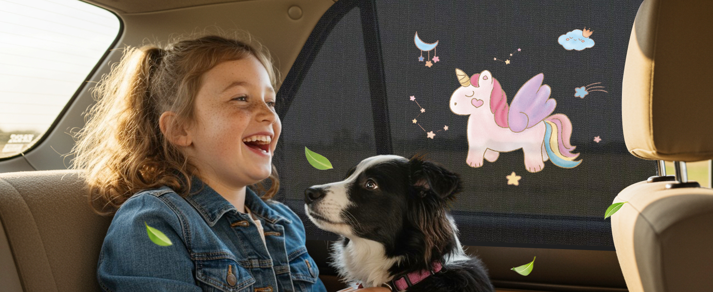 car sun window shade