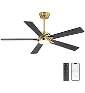 Amazon.com: WINGBO 44 Inch Flush Mount DC Ceiling Fan with