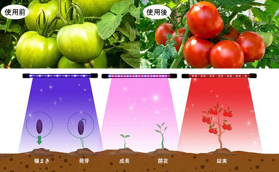 Amazon.co.jp: XINBAOHONG 植物育成ライト led パネル ライト