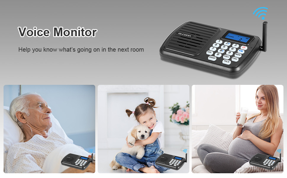 Wireless System (with FM Radio + LCD Display) for