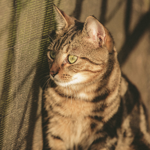 Small manufacture image 2