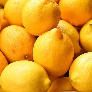 naturally serious, Lemon-Aid Makeup-Removing Cleansing Gel, lemon seed oil, lemon butter