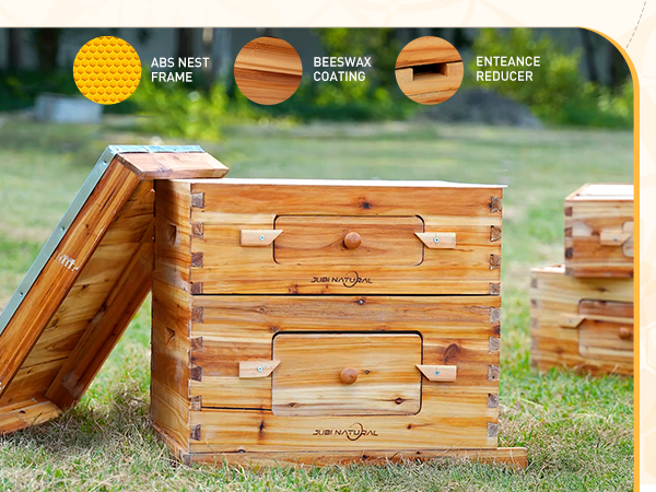 Amazon.com : Bee Hive 10 Frame Bee Box Starter Kit, Beeswax