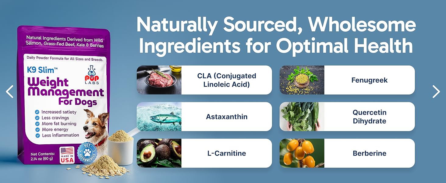 natural weight loss for dogs