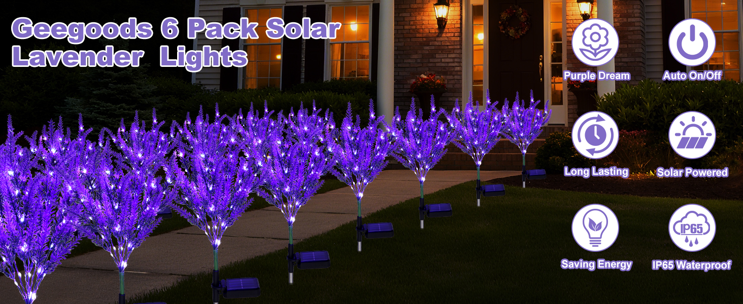 solar flowers