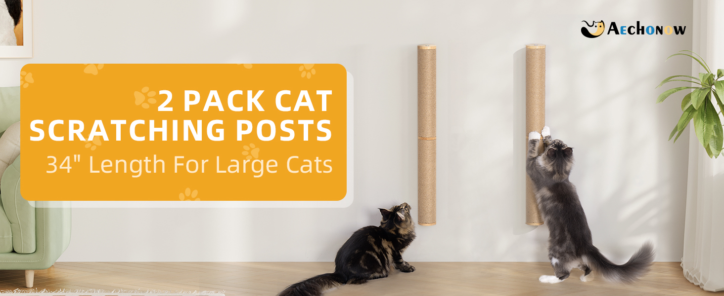 scratch post for large cats