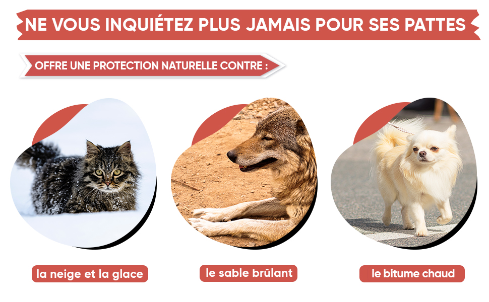 Hygiène Et Santé Du Chien - Baume Pattes Nez Animaux Chien Chat Protection  Coussinet Truffe Formule Hydratante