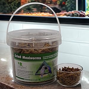 Many Sizes Available