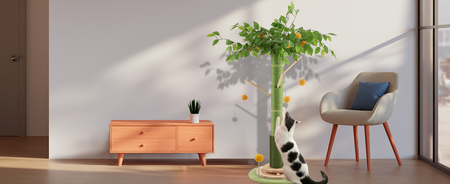 scratching posts for indoor cats adults