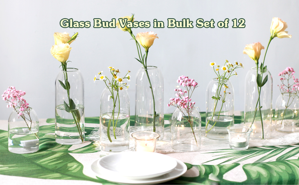 Etolies Glass Bud Vases in Bulk Set of 1... 11 glass bud vases set of 12