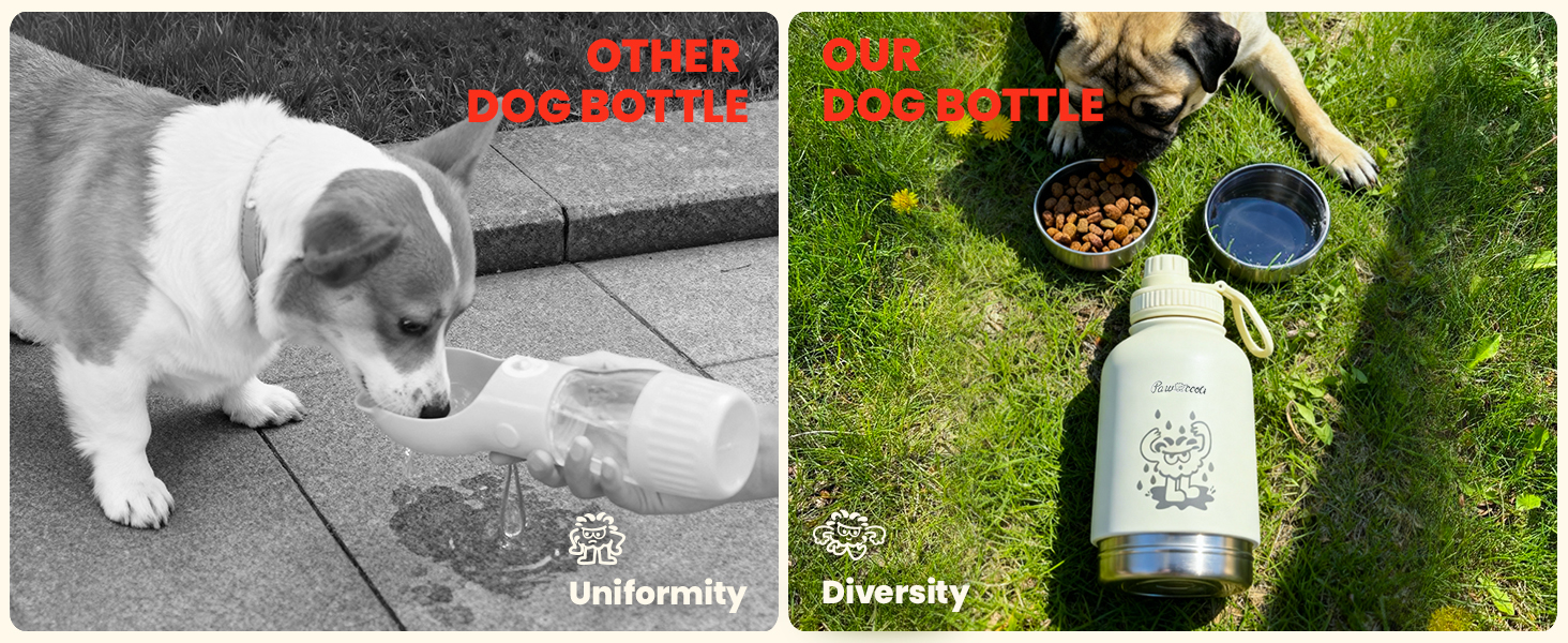 dog travel water bottle