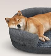 Orthopedic Dog Bed for Large Dogs, Washable and Soft with Anti-Slip Bottom (Grey)  
Washable Oval Dog Couch Bed with Sid D3bc37fd 83f5 48c2 9ea8 30b21c3324da. CR0,14,181,198 PT0 SX166 V1