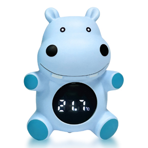 Newborn bath thermometer