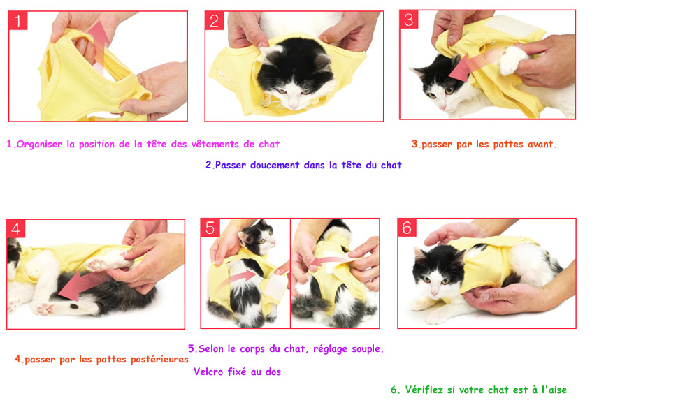 Komate Body Chat Chaton Post Operatoire Gilet Combinaison de Récupération de Chat Chien Chiot