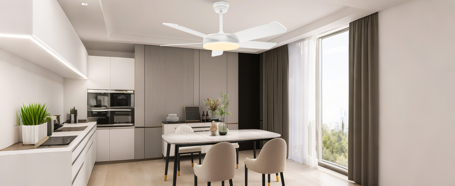 ceiling fans with lights