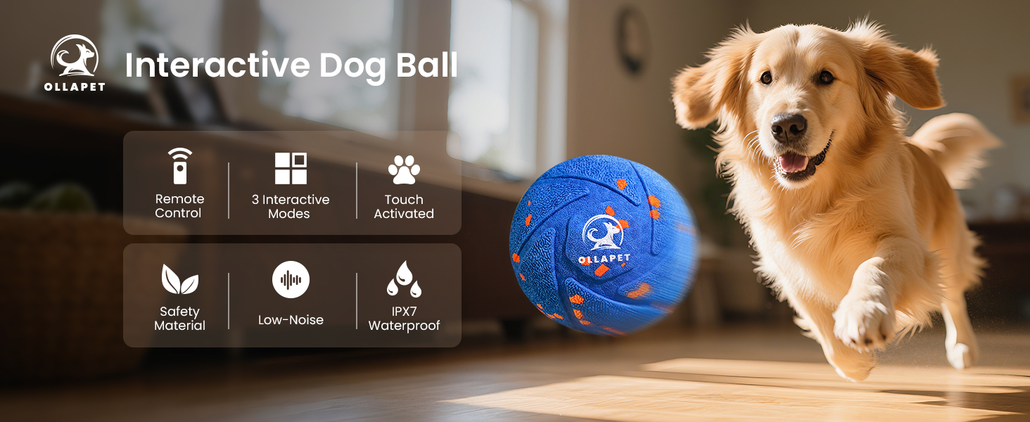 Interactive Dog Toy Ball