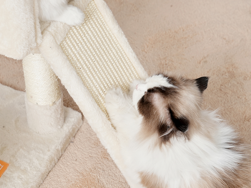 Amazon.com : Heybly Cat Tree,Cat Tower for Indoor Cats, 65.4