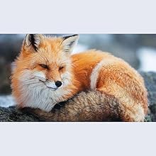 Small manufacture image 7