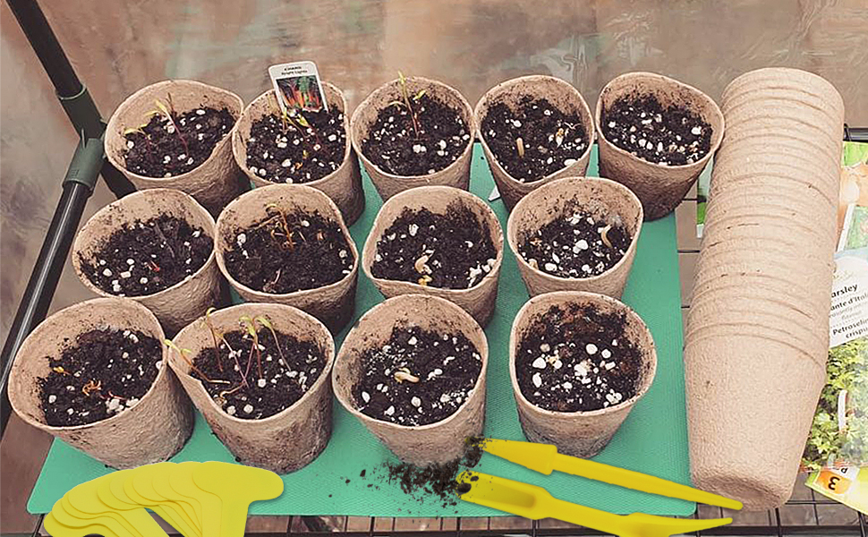 Peat Pots for Seedlings
