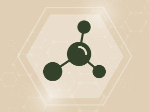 Wolffia Rich in Vitamins and Minerals